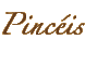 Pinc�is